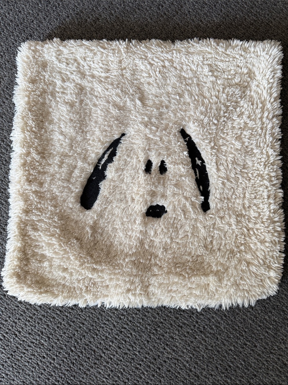 Pottery Barn Peanuts Snoopy Cozy Pillow Cover sham 18” square